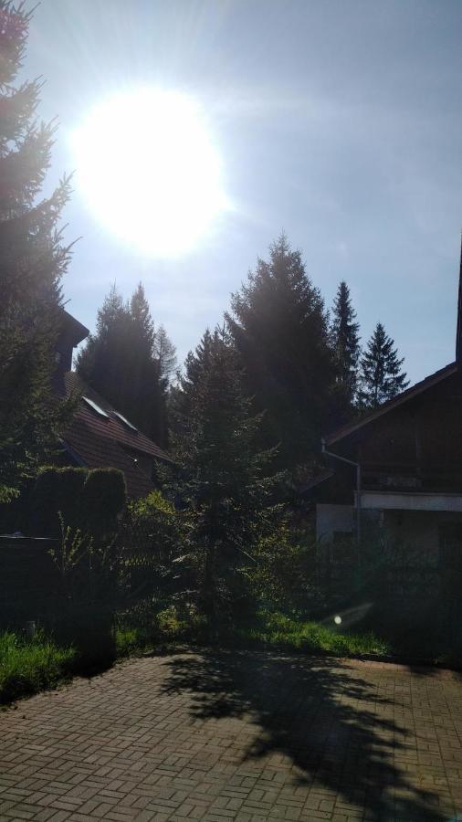 Poiana Dintre Brazi Chalet, Bucegi Panorama Синая Экстерьер фото