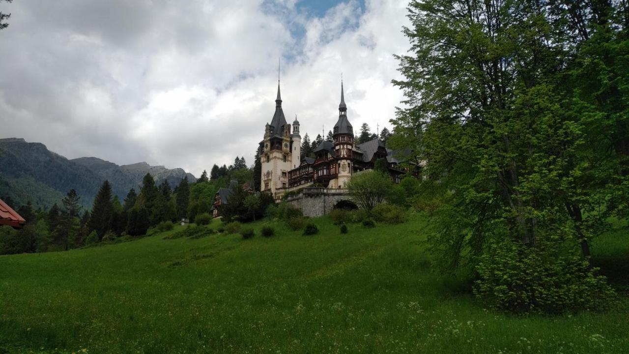 Poiana Dintre Brazi Chalet, Bucegi Panorama Синая Экстерьер фото